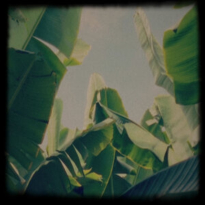 Platano Tapes/Product Detail/Dance