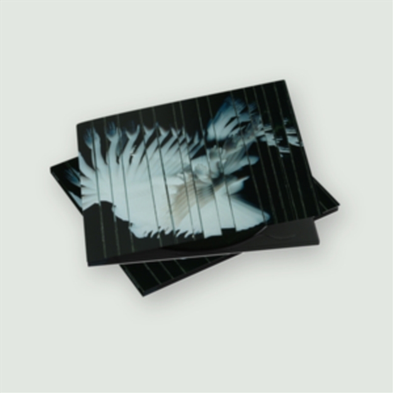 Endlessly/Product Detail/Dance