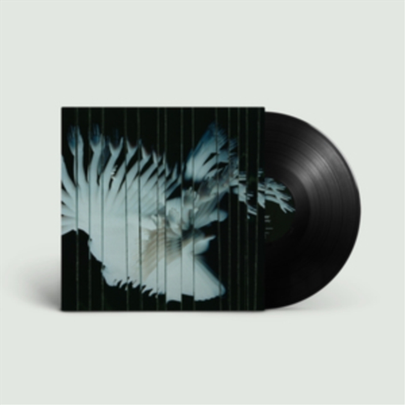 Endlessly/Product Detail/Dance