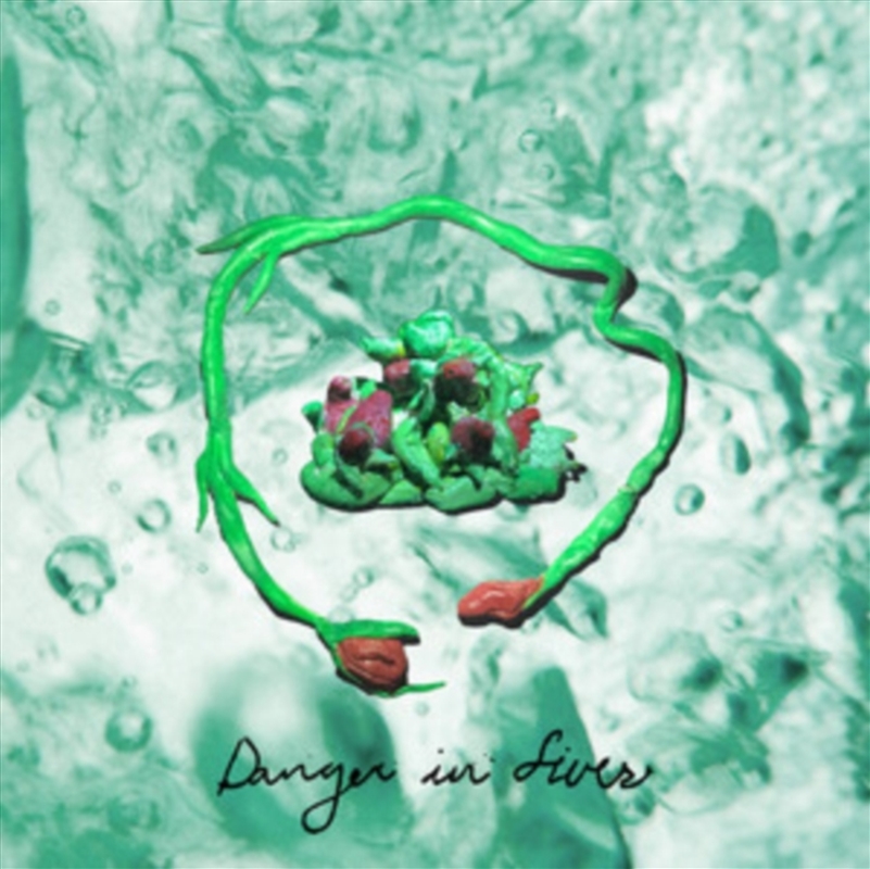 Danger In Fives/Product Detail/Rock/Pop