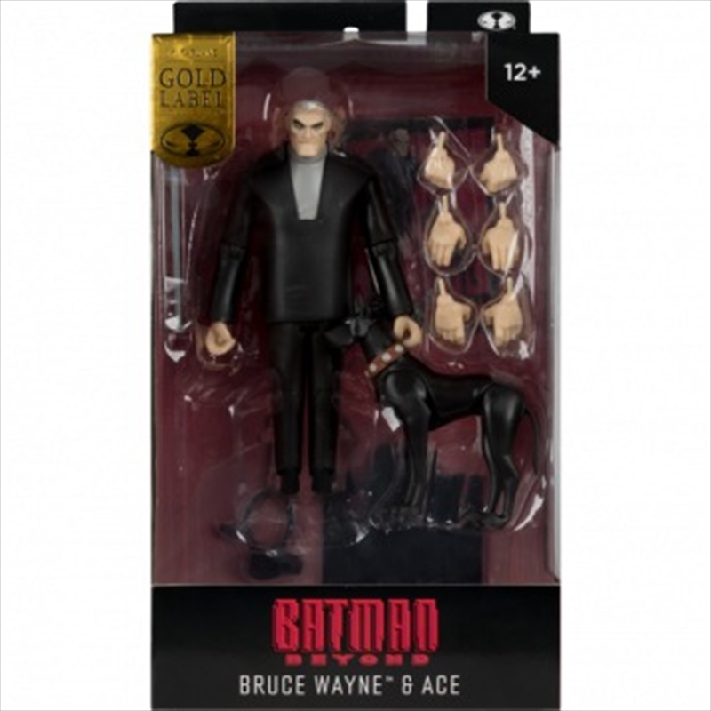 DC Direct Batman Beyond Animated 25th Anni 6In Bruce Wayne With Ace The Bat Hound/Product Detail/Figurines