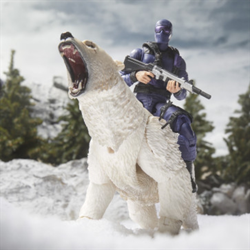 G.I. Joe Classified Series: #161 Snake Eyes & Polar Bear/Product Detail/Figurines
