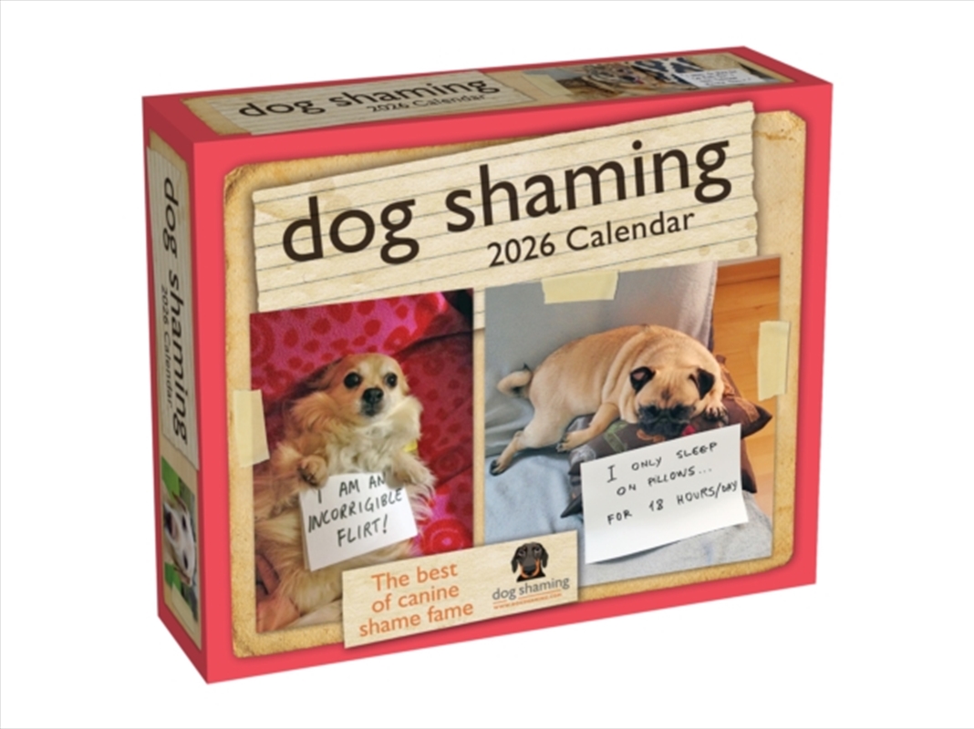 Dog Shaming 2026 Boxed Calendar/Product Detail/Calendars & Diaries
