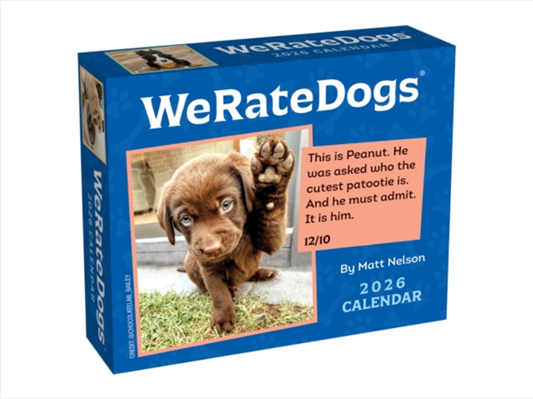 Weratedogs 2026 Boxed Calendar/Product Detail/Calendars & Diaries
