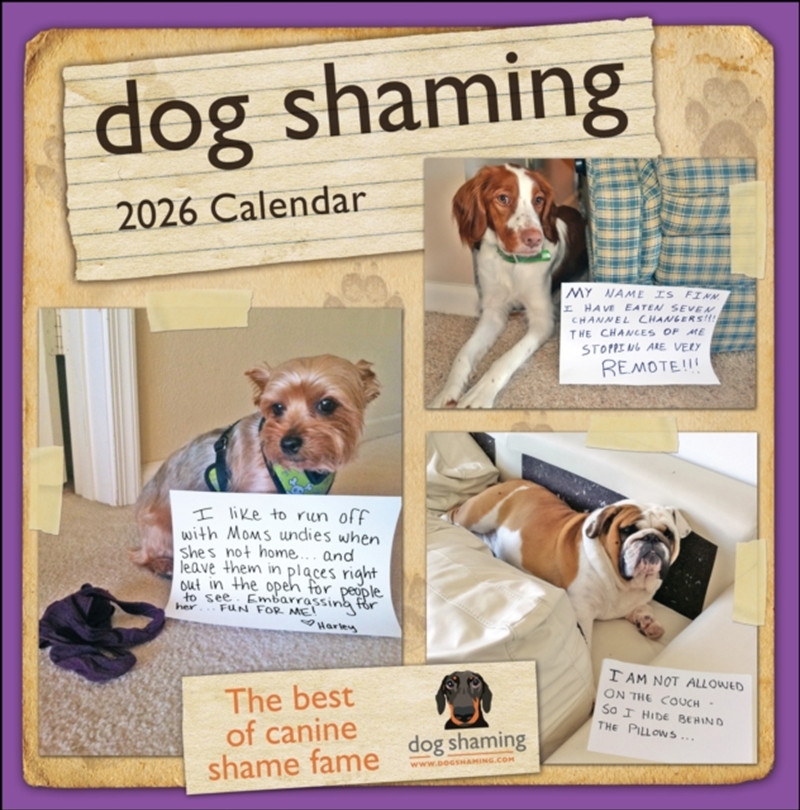 Dog Shaming 2026 Square Calendar/Product Detail/Calendars & Diaries