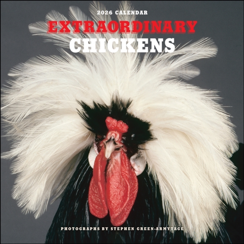 Extraordinary Chickens 2026 Square Calendar/Product Detail/Calendars & Diaries