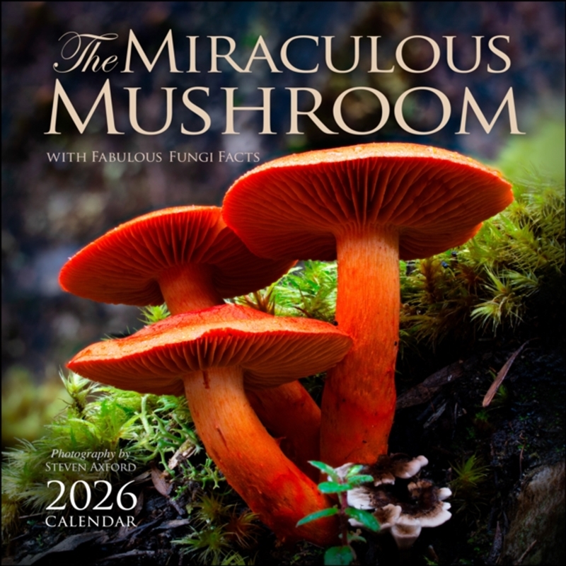 Miraculous Mushroom 2026 Square Calendar/Product Detail/Calendars & Diaries
