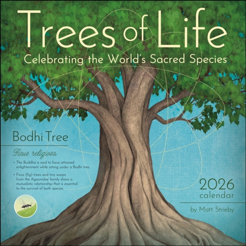 Trees of Life 2026 Square Calendar/Product Detail/Calendars & Diaries