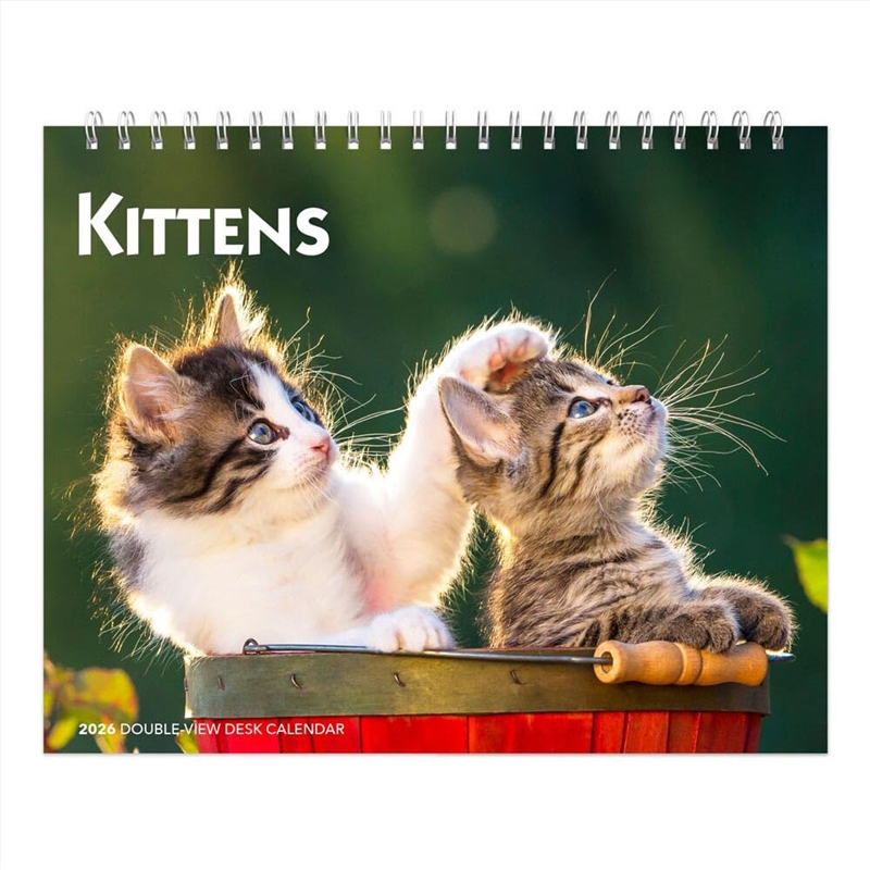Kittens 2026 Double View Desk Easel Calendar/Product Detail/Calendars & Diaries
