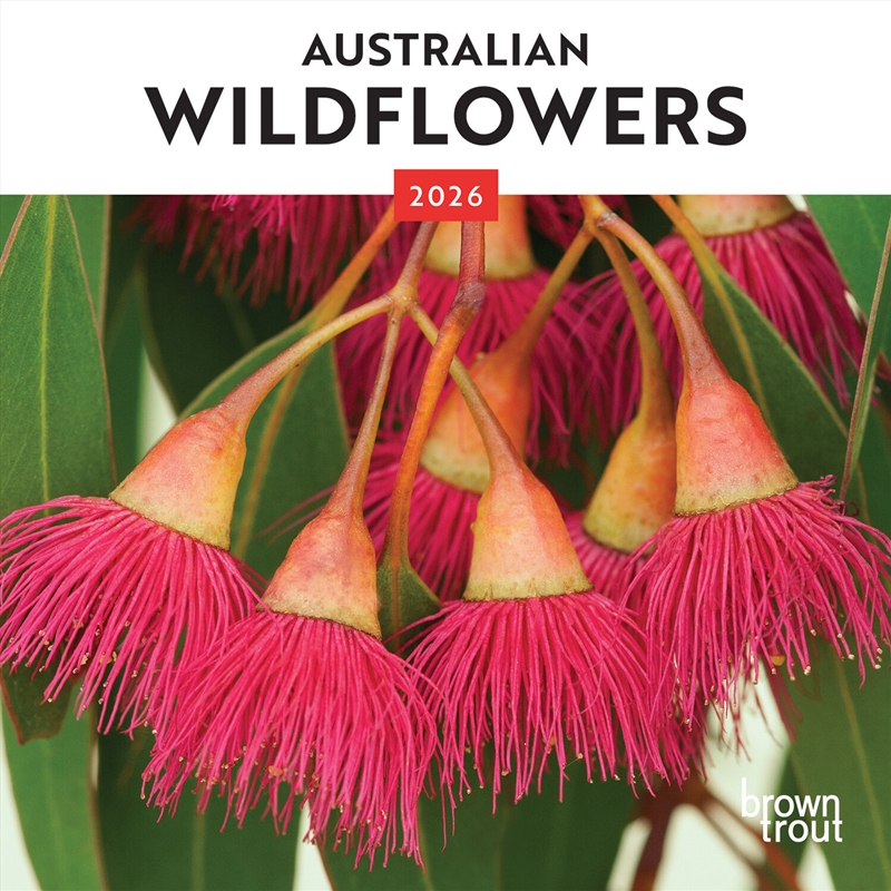 Calendar Wildflowers 2026 - Bobangles