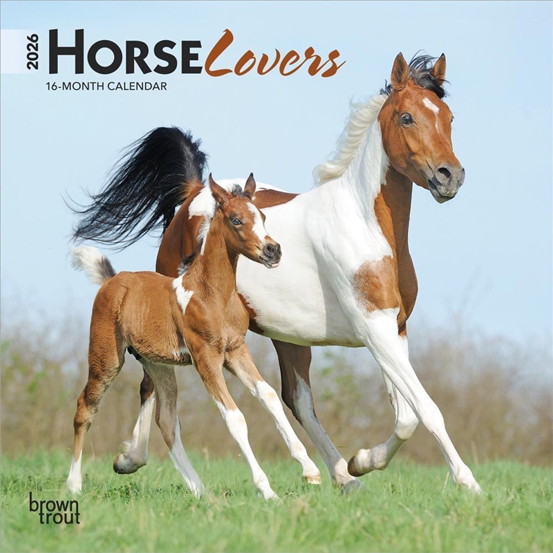 Horse Lovers 2026 Mini Calendar/Product Detail/Calendars & Diaries
