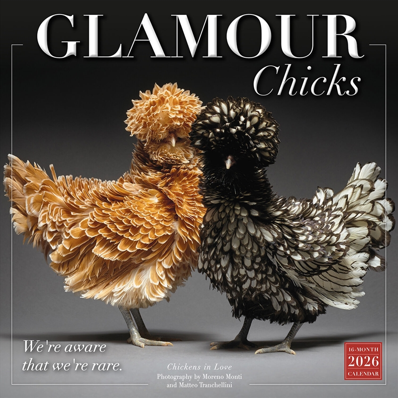 Glamour Chicks 2026 Square Calendar/Product Detail/Calendars & Diaries