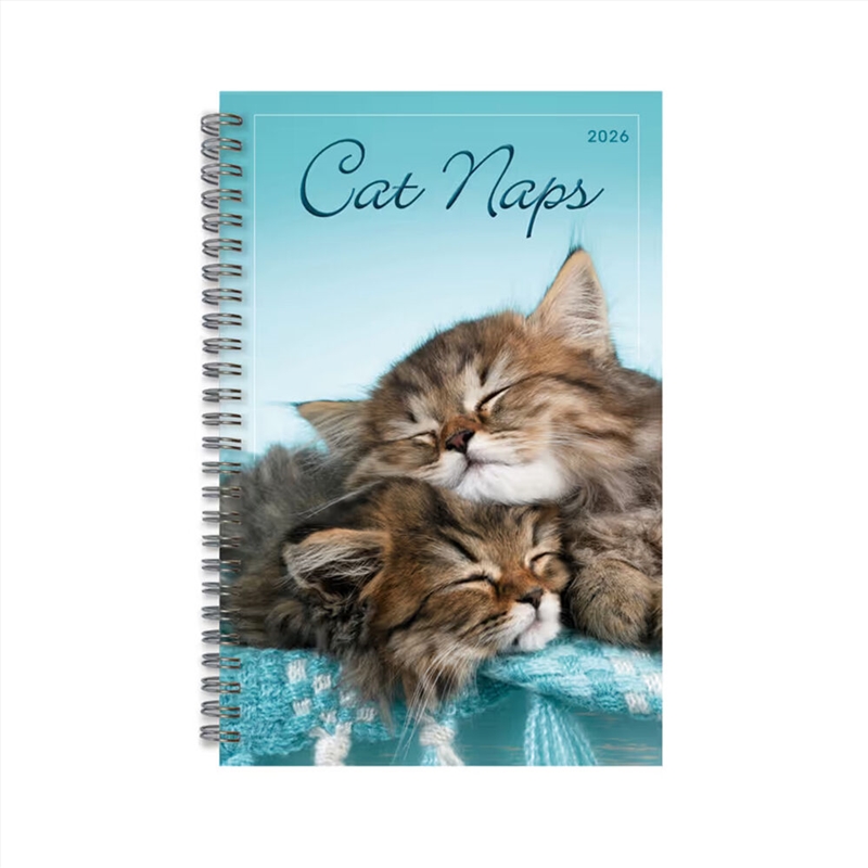 Cat Naps 2026 Engagement Calendar/Product Detail/Calendars & Diaries