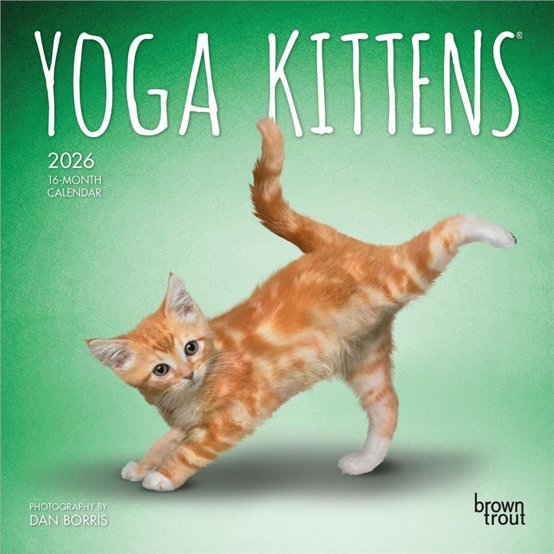 Yoga Kittens 2026 Mini Calendar/Product Detail/Calendars & Diaries