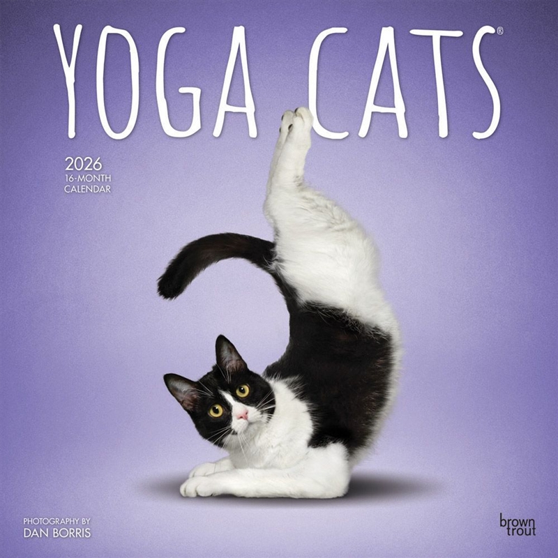 Yoga Cats 2026 Square Calendar/Product Detail/Calendars & Diaries