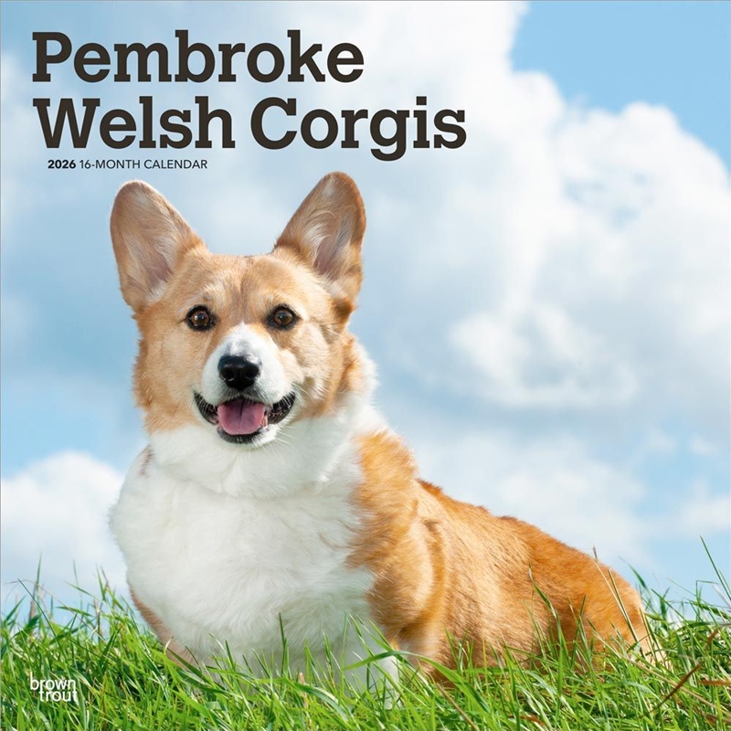 Welsh Corgis, Pembroke 2026 Square Calendar/Product Detail/Calendars & Diaries