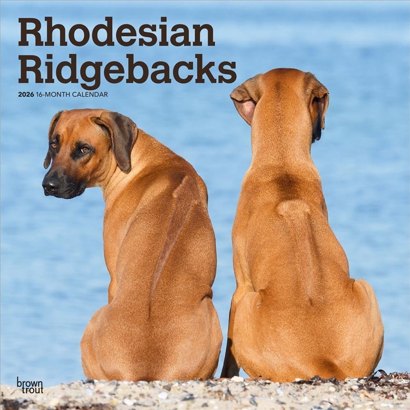 Rhodesian Ridgebacks 2026 Square Calendar/Product Detail/Calendars & Diaries