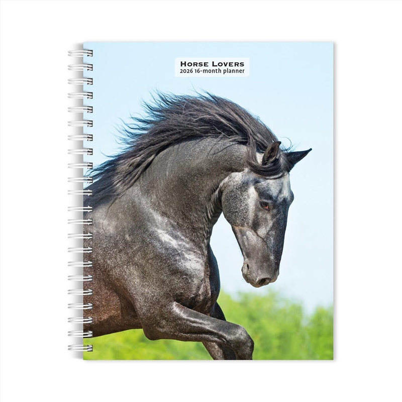 Horse Lovers 2026 Engagement Calendar/Product Detail/Calendars & Diaries