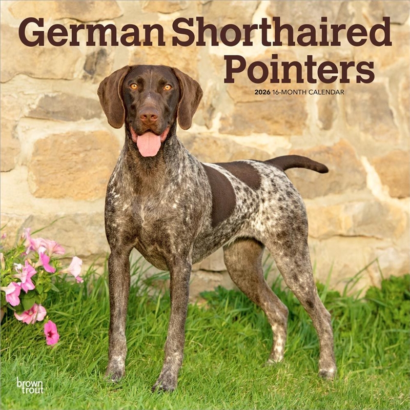 German Shorthaired Pointers 2026 Square Calendar/Product Detail/Calendars & Diaries