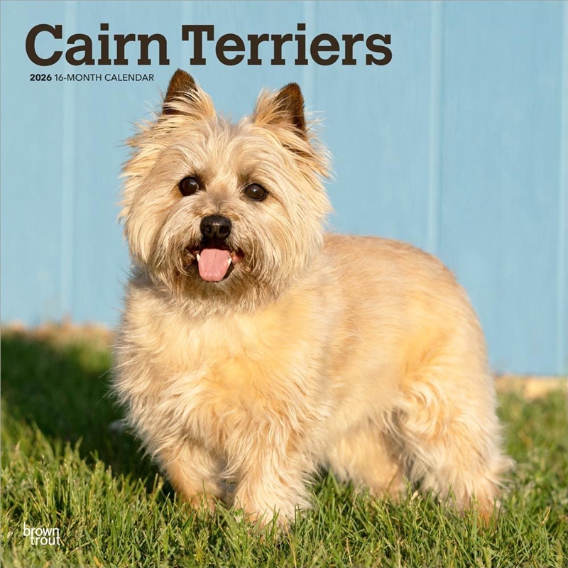 Cairn Terriers 2026 Square Calendar/Product Detail/Calendars & Diaries