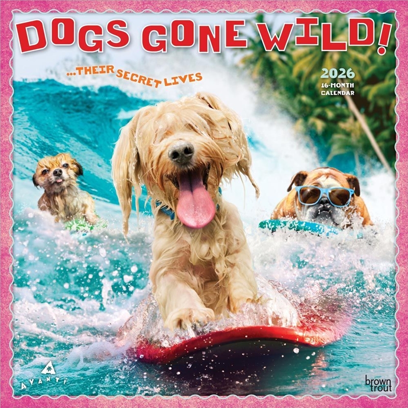 Avanti Dogs Gone Wild 2026 Square Calendar/Product Detail/Calendars & Diaries