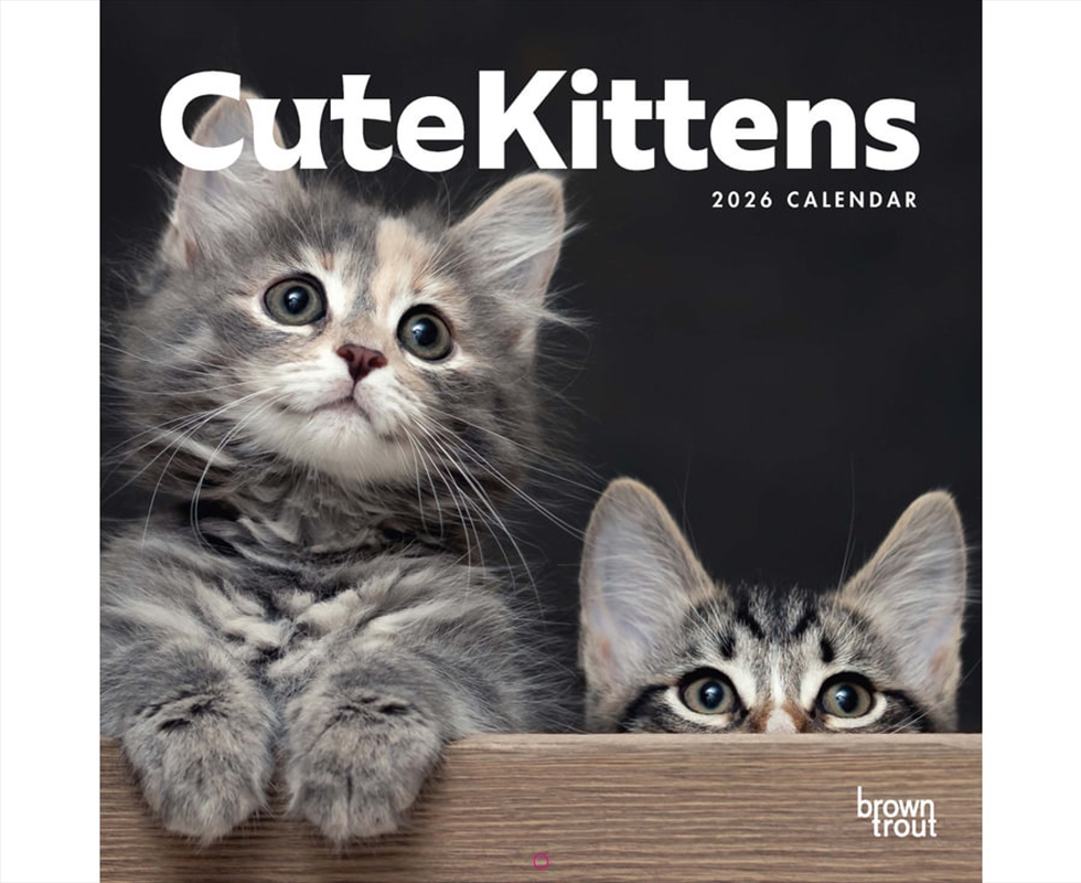 Cute Kittens 2026 Square Calendar/Product Detail/Calendars & Diaries