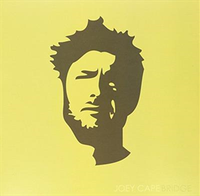 Bridge/Product Detail/Punk