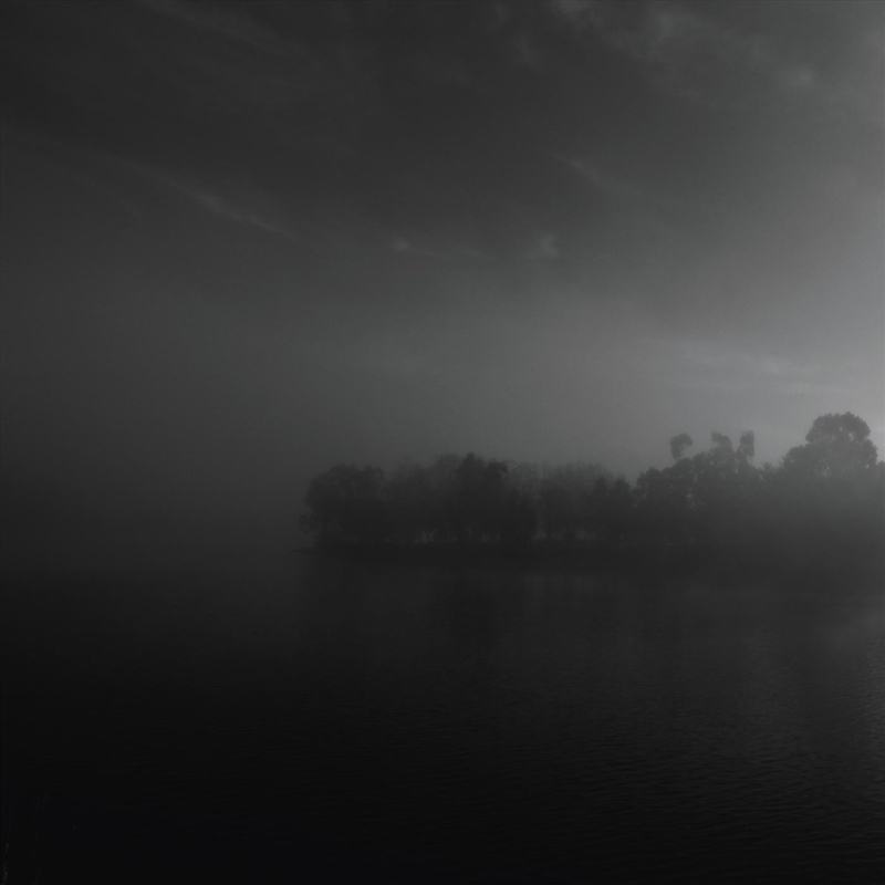 Dewpoint/Product Detail/Dance