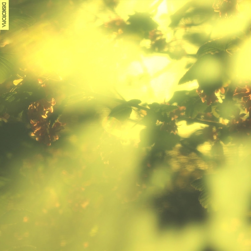 States/Product Detail/Alternative