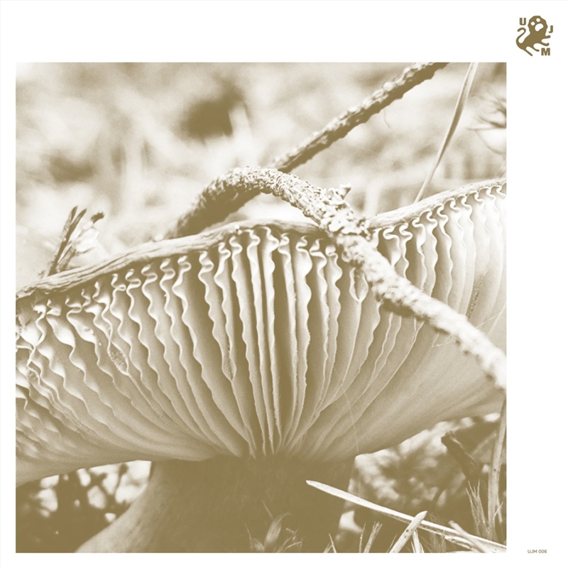 Rise & Bloom/Product Detail/Jazz