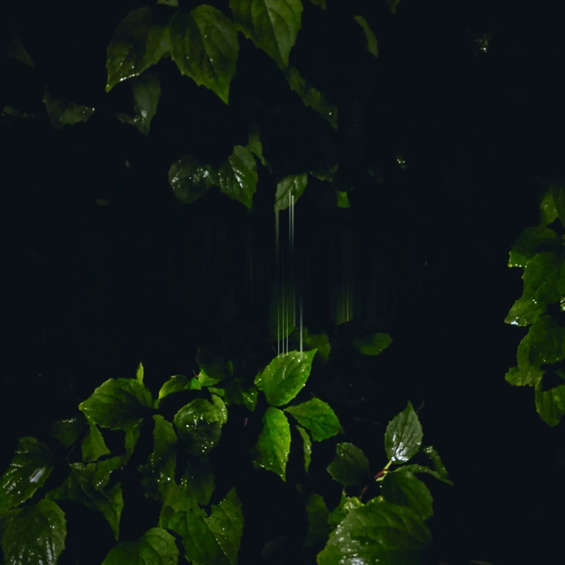 Music for Empty Flats/Product Detail/Dance