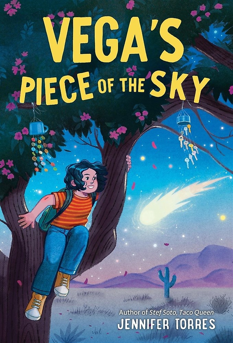 Vega's Piece of the Sky/Product Detail/Childrens Fiction Books