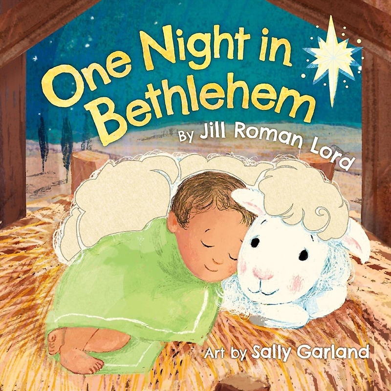 One Night In Bethlehem/Product Detail/Childrens Fiction Books
