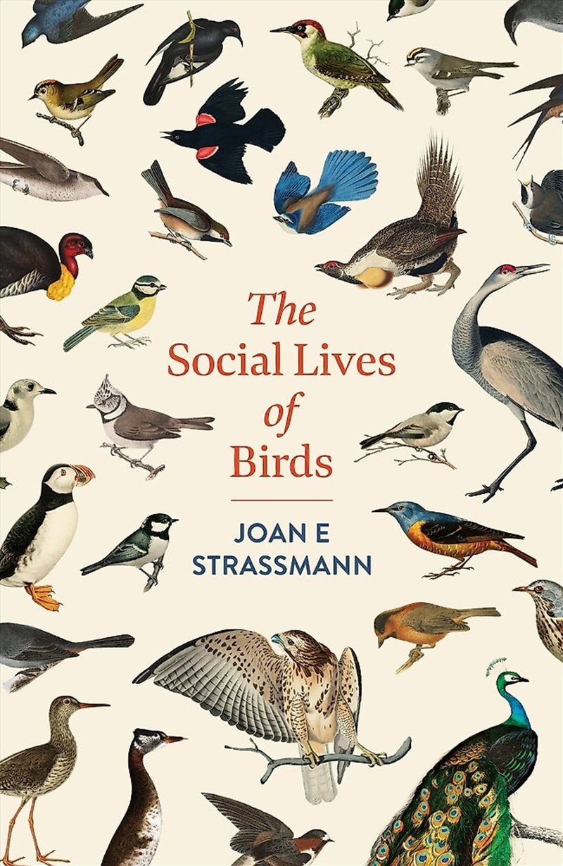 The Social Lives of Birds/Product Detail/Animals & Nature