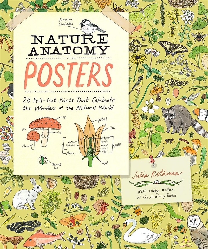 Nature Anatomy Posters/Product Detail/Art