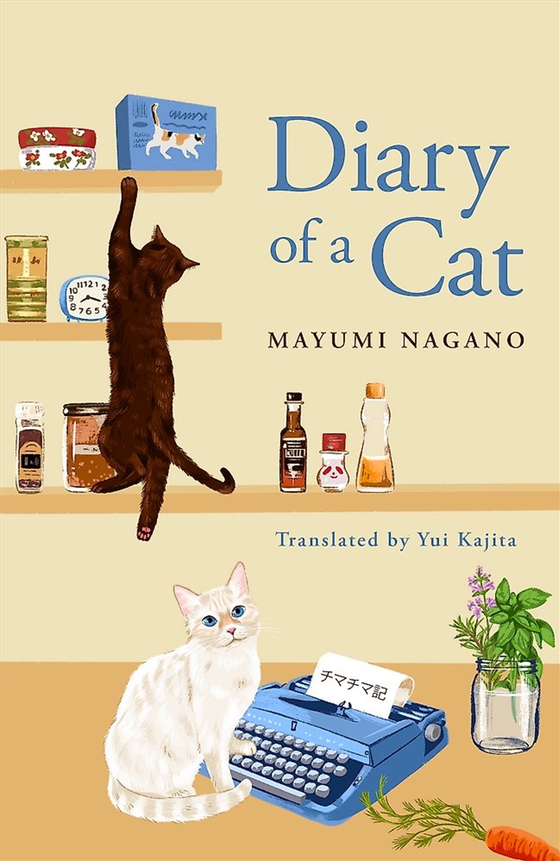 Diary of a Cat/Product Detail/Modern & Contemporary