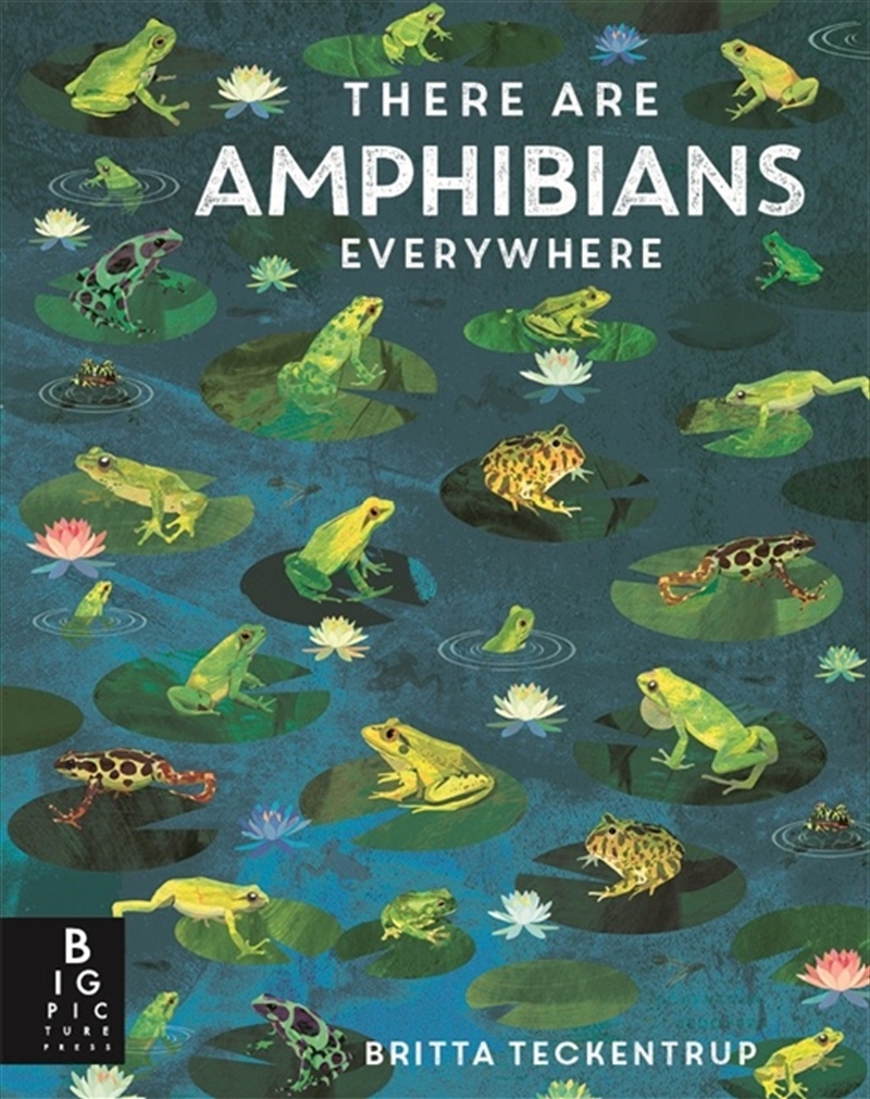 There Are Amphibians Everywhere/Product Detail/Animals & Nature