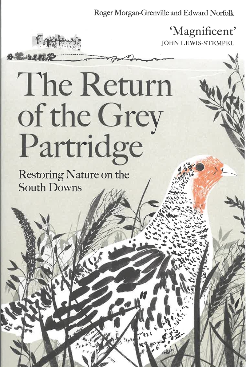 Return of the Grey Partridge/Product Detail/Animals & Nature