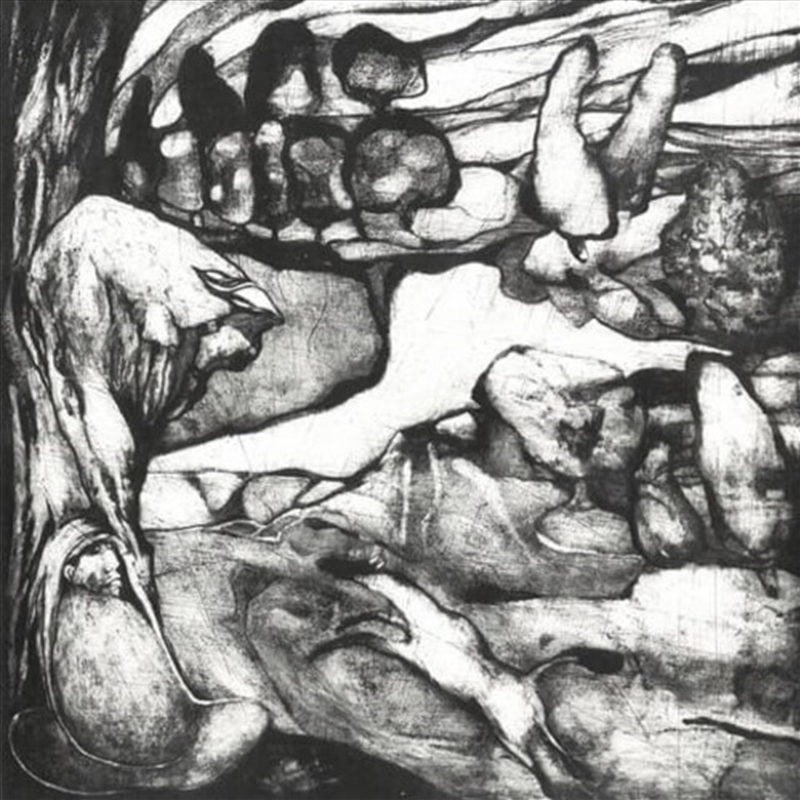 Origo/Product Detail/Dance