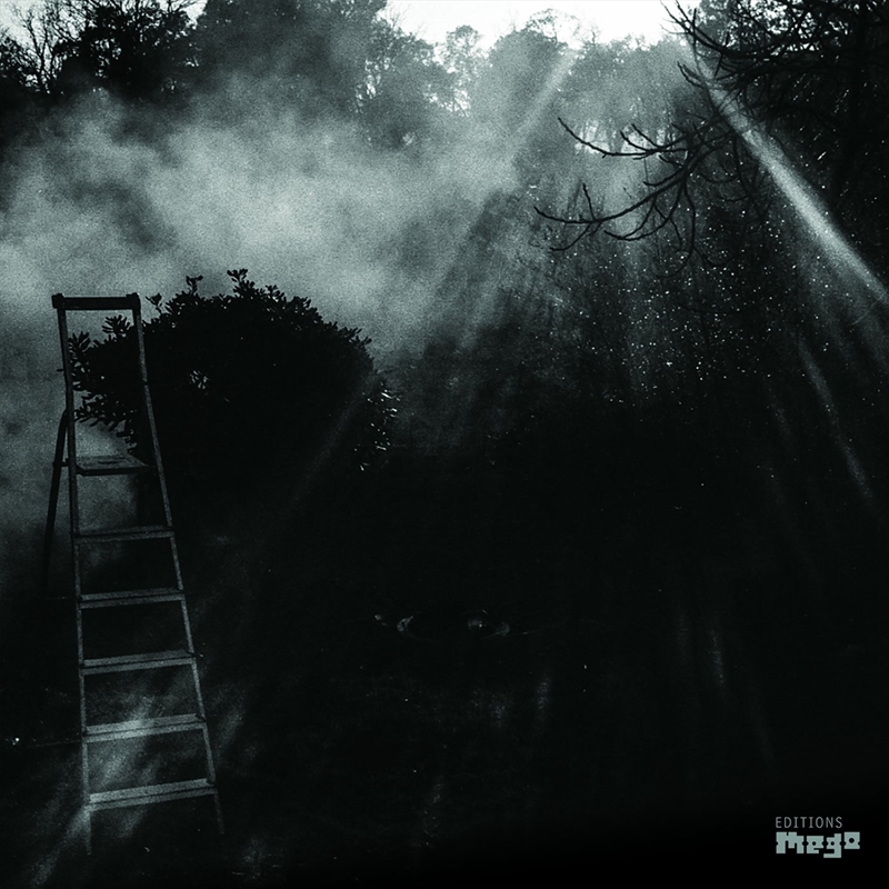 Animal Electrique/Product Detail/Alternative