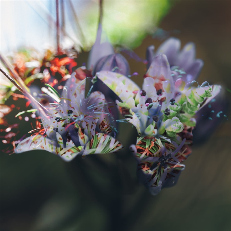 If We Land On Water/Product Detail/Dance