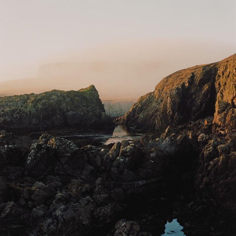 The Fundamental Nature Of Bein/Product Detail/Jazz