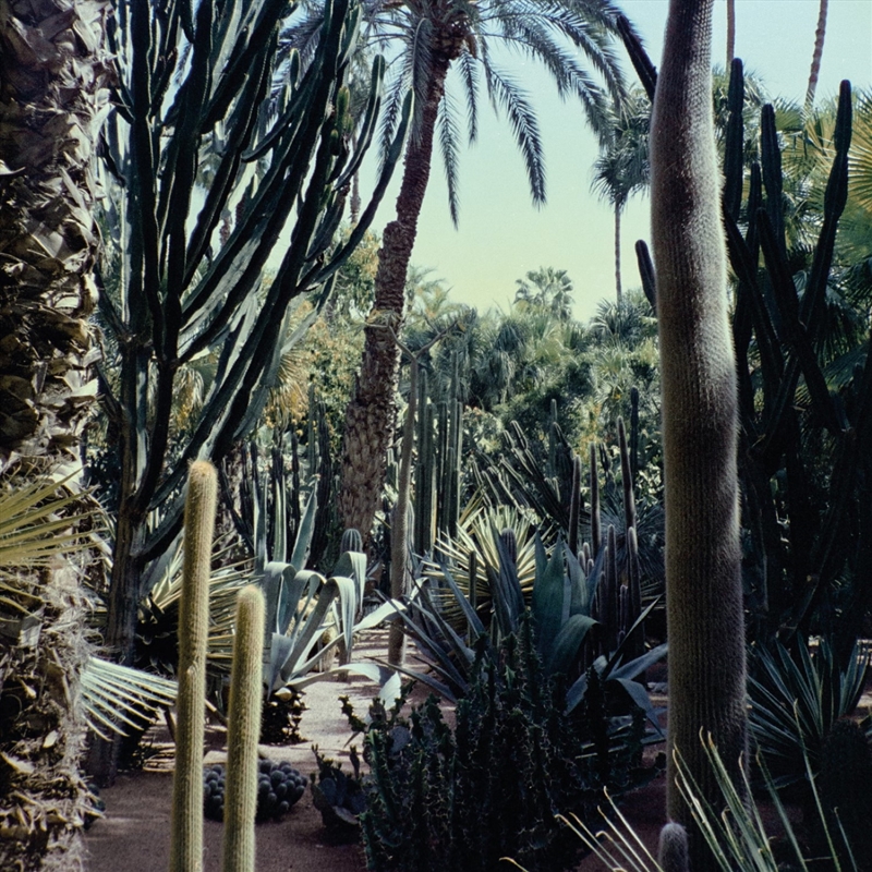 Three Body/Product Detail/Dance