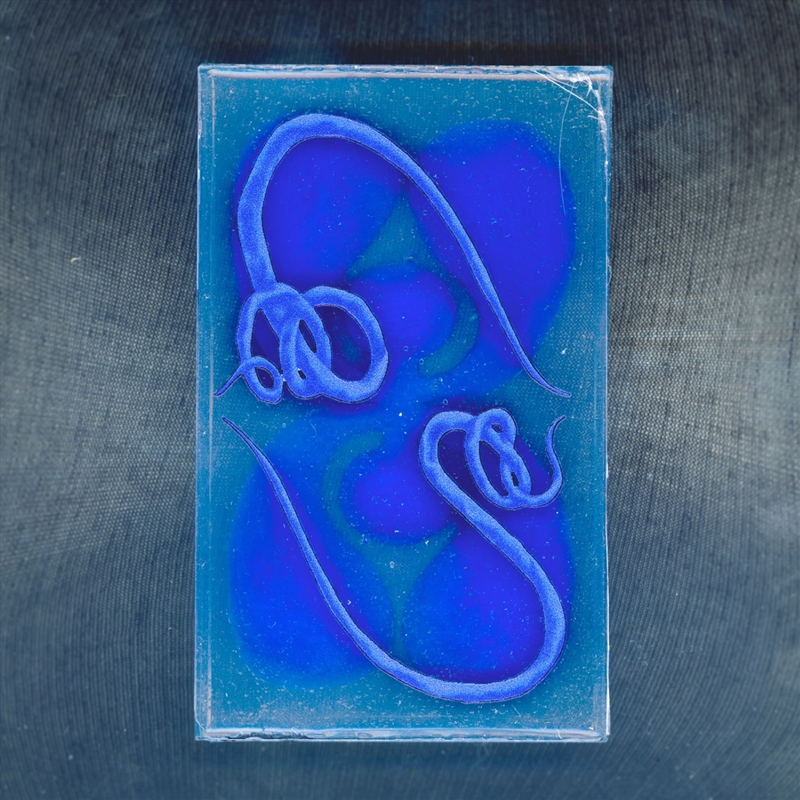 Lurched Purple Ii/Product Detail/Dance