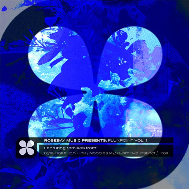 Fluxpoint Vol. 1 - Kyle Hall & Noodles Remixes/Product Detail/Dance