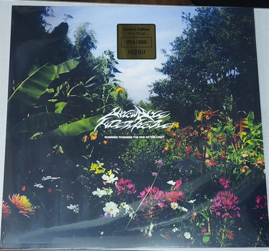 Running Towards The End Of The Light - Splatter Vinyl - & Poster/Product Detail/Dance