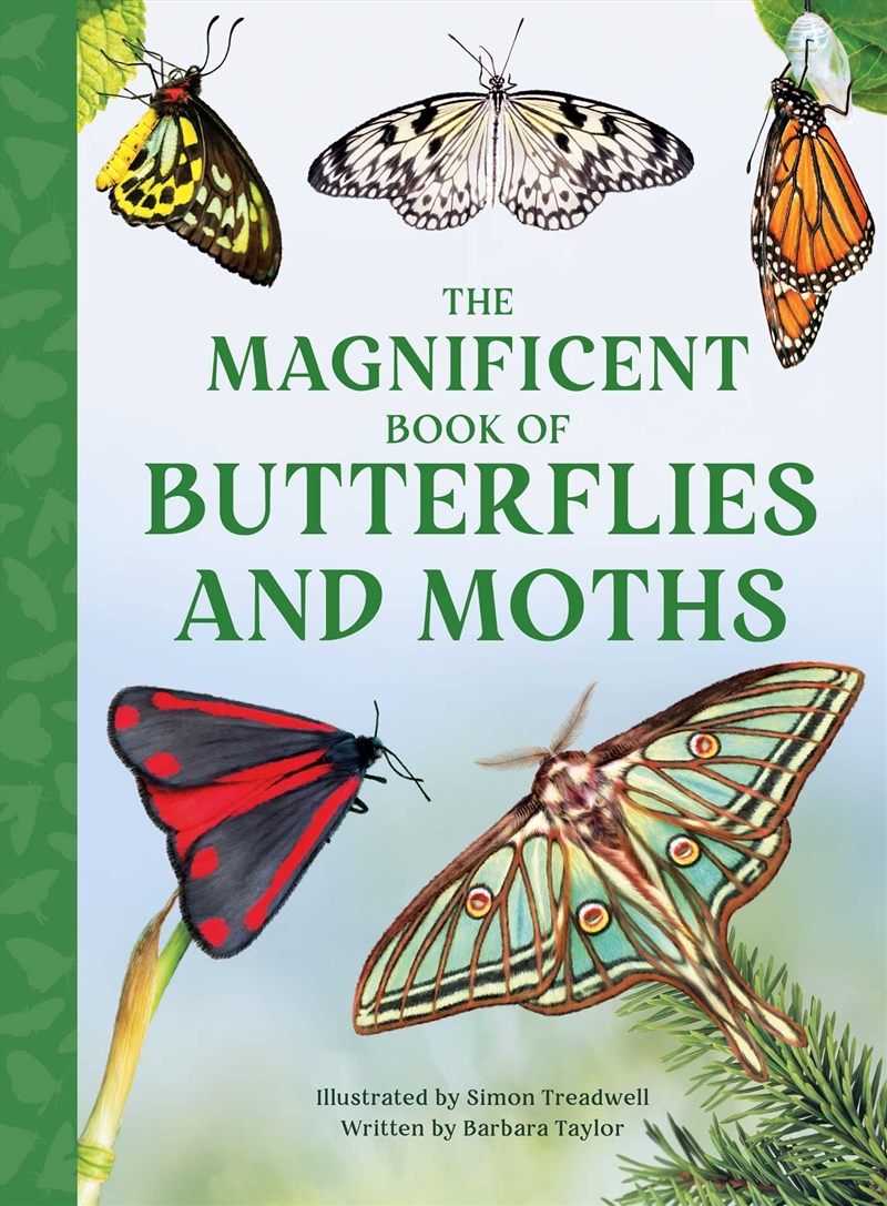 The Magnificent Book of Butterflies & Moths/Product Detail/Animals & Nature