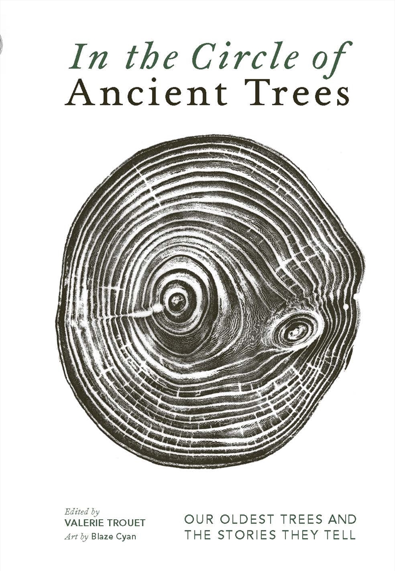 In The Circle Of Ancient Trees/Product Detail/Animals & Nature