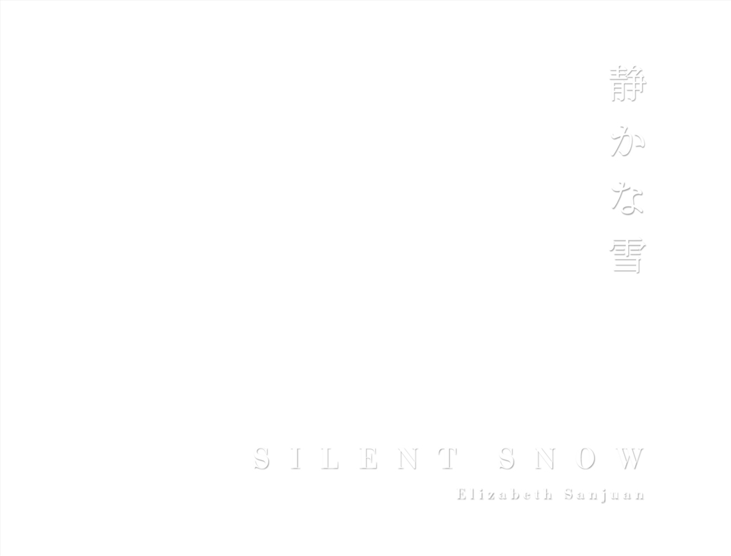 Silent Snow/Product Detail/Photography
