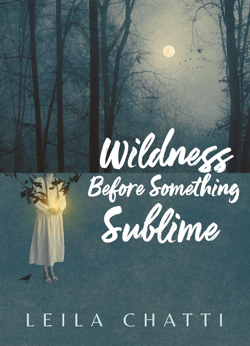 Wildness Before Something Sublime/Product Detail/Society & Culture